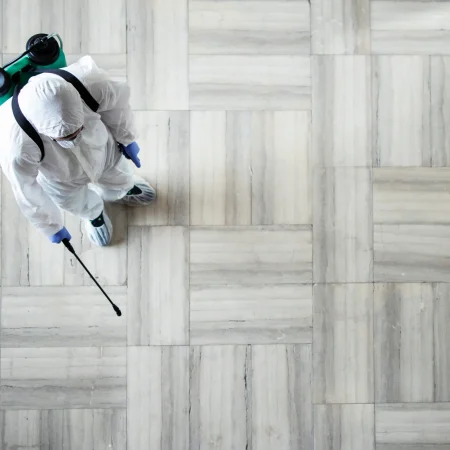 التعقيم ومكافحة الحشرات